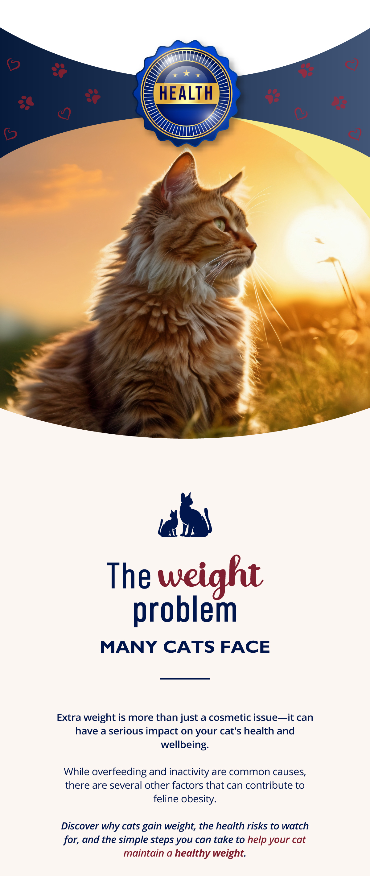 Extra weight is more than just a cosmetic issue�it can have a serious impact on your cat's health and wellbeing.