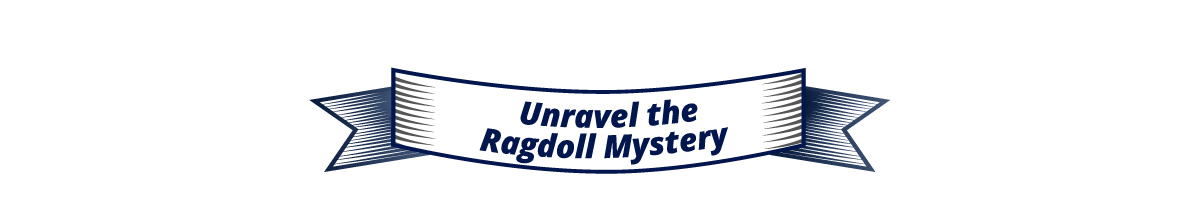 Unravel the Ragdoll Mystery