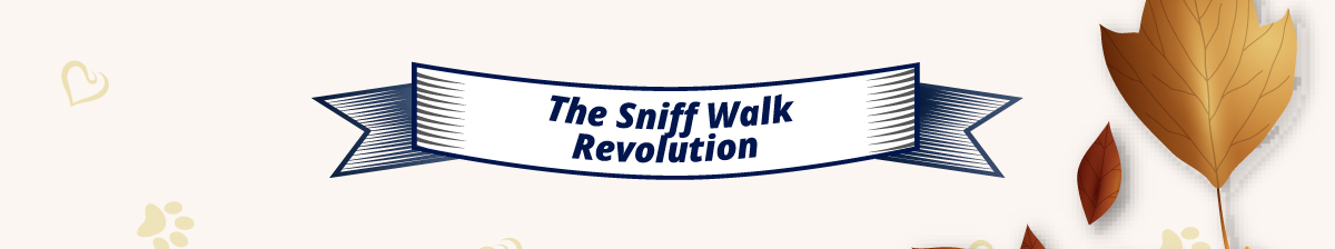 The Sniff Walk Revolution