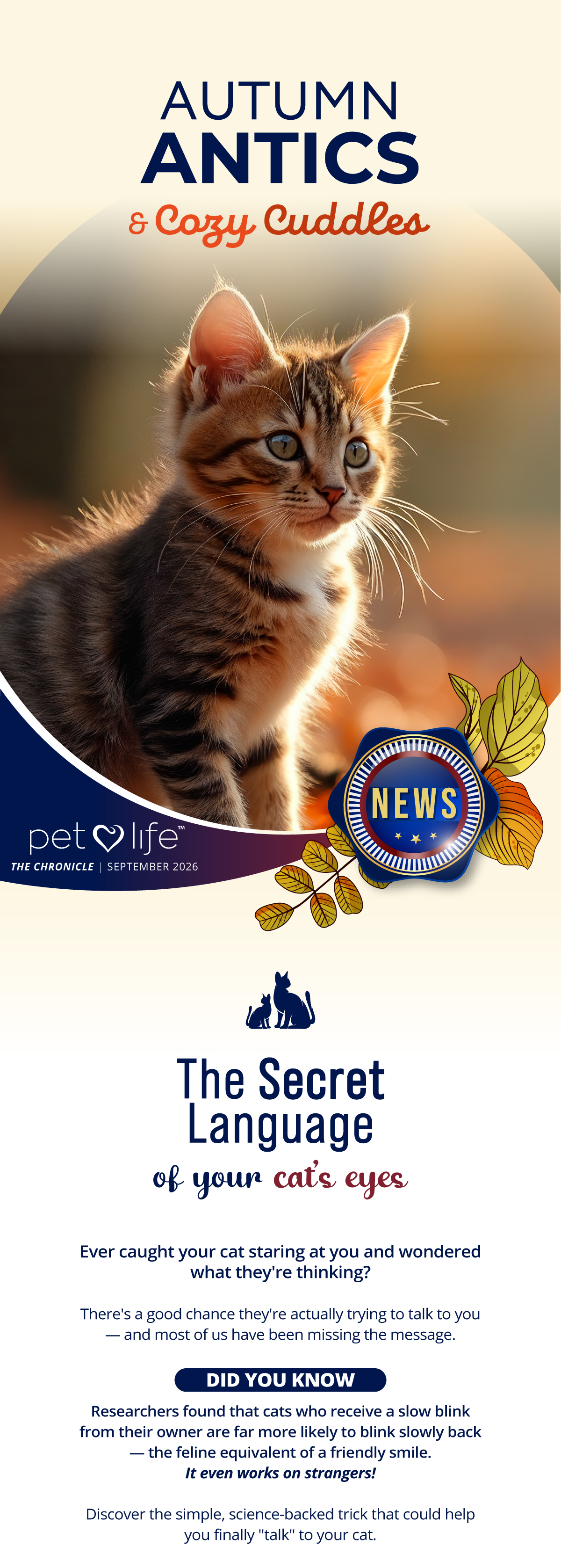 The secret language of your cat's eyes