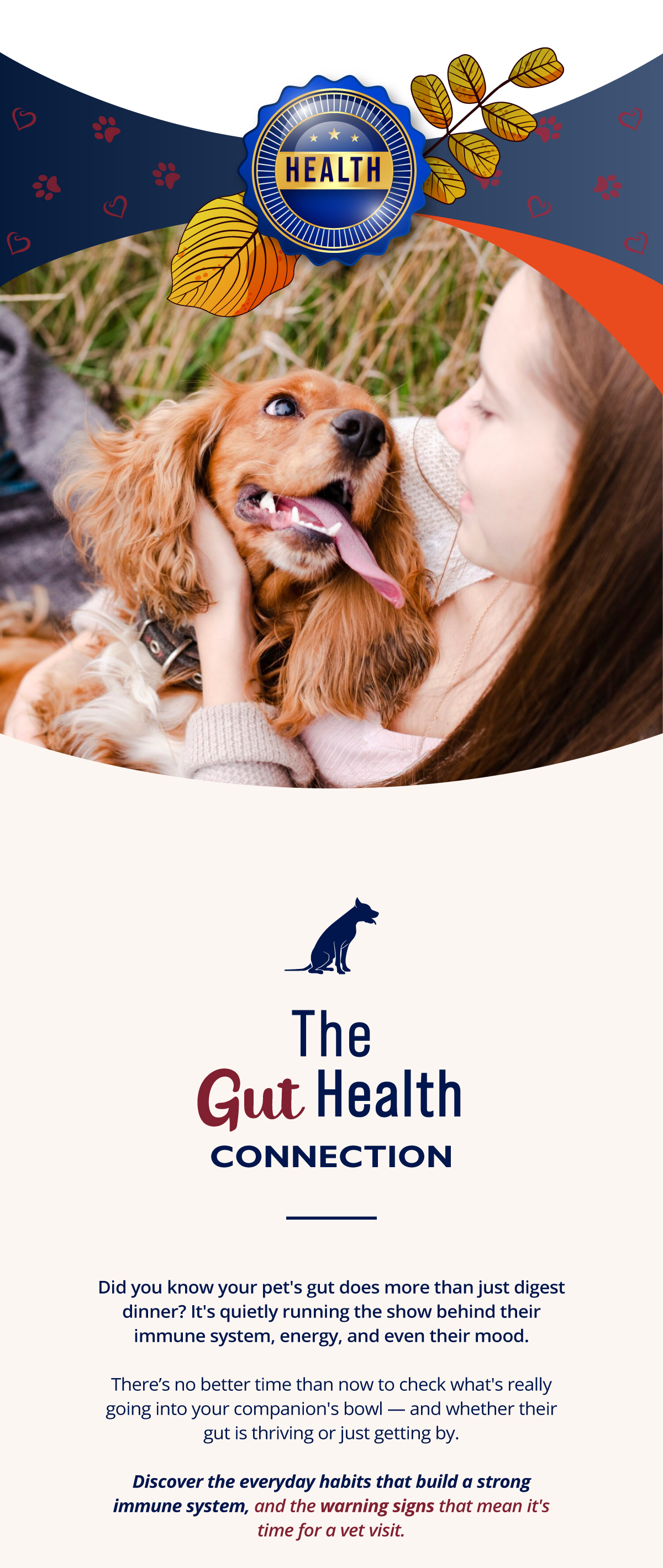 The gut health connection