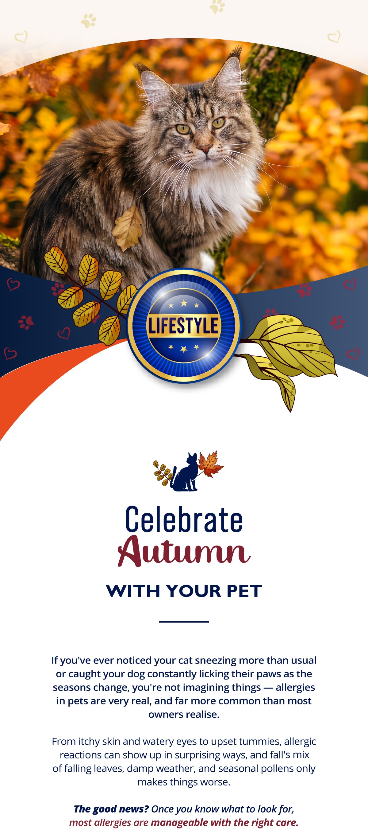 Celebrate Autumn with your pet