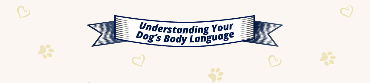 Understanding your dog's body language