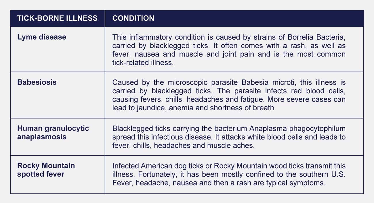 infographic table of tick borne illnesses