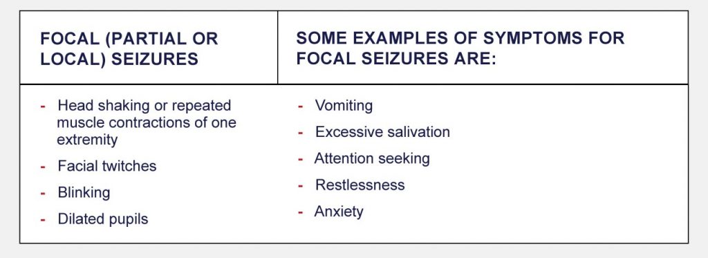 focal seizsure symptoms