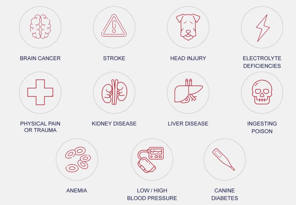 Types of epilepsy:secondary