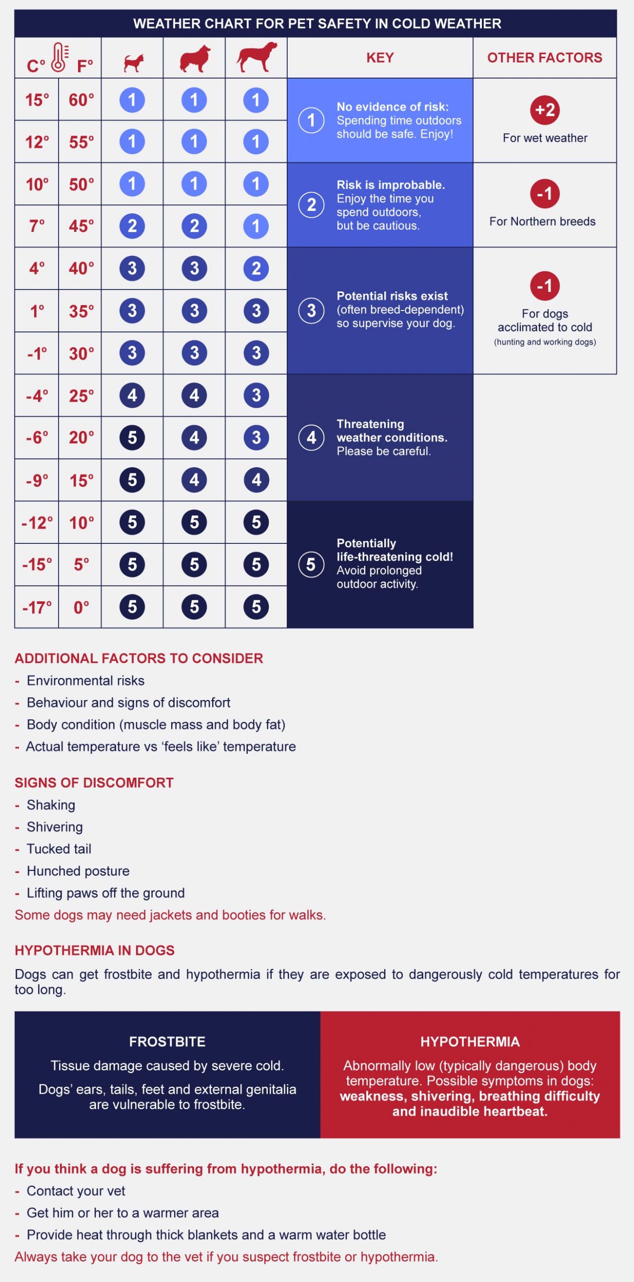 infographic dog cold outside