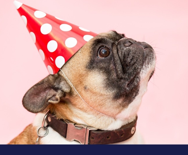 Read more about the article 10 Tips For Throwing A Top Doggy Birthday Party