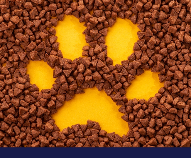Read more about the article Dog Food Thoughts: How Much Do You Know About Kibble?