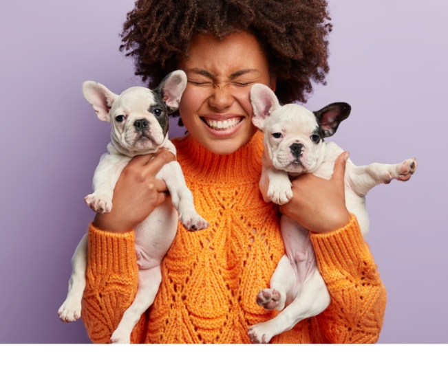 Read more about the article The Importance Of Pets In Our Lives
