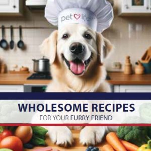 Delicious Dog Delights